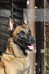 如何理解專利侵權(quán)時先用權(quán)的適用問題？